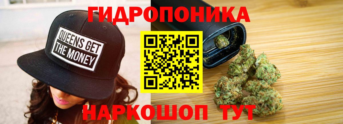 Йошкар-Ола  Каннабис OG Kush  Вход с VPN  Канабис OG Kush  Конопля конопля  Канабис план 
